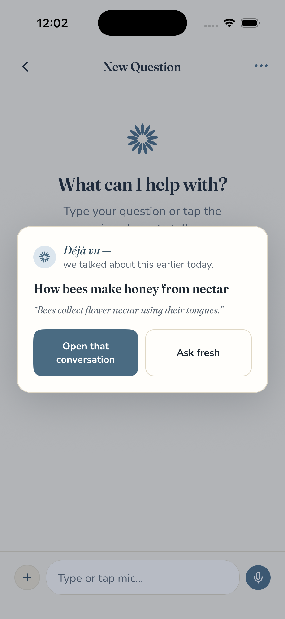 Déjà vu card — "we talked about this earlier today" with options to open the existing conversation or start fresh